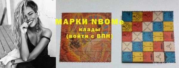 шишки Дмитриев