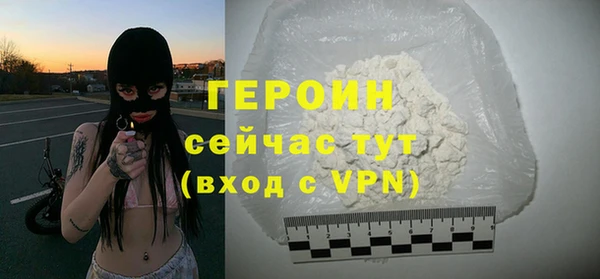 индика Ельня