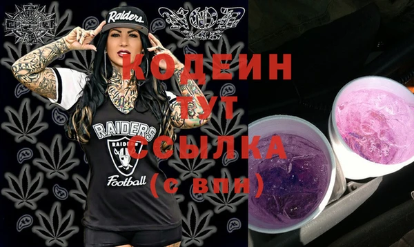 шишки Дмитриев