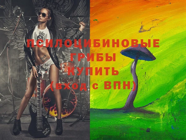 гашик Дмитровск