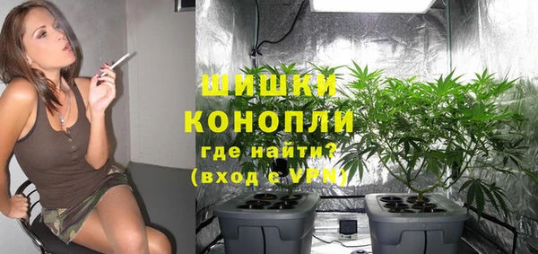 гашик Дмитровск