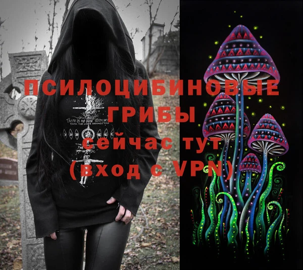 круглые Елизово