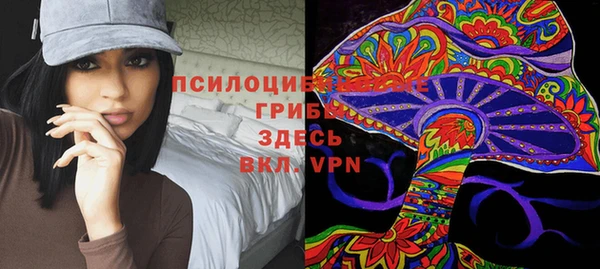гашик Дмитровск
