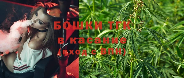 шишки Дмитриев