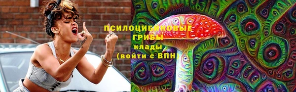 гашик Дмитровск