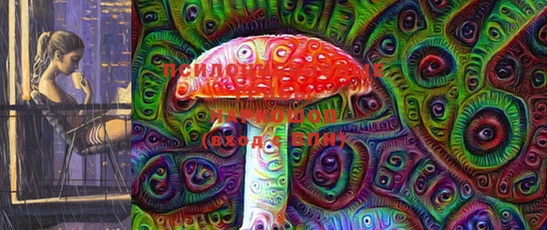 шишки Дмитриев