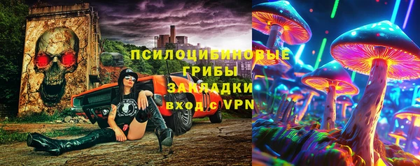 шишки Дмитриев