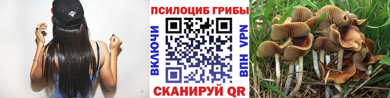 Псилоцибиновые грибы GOLDEN TEACHER Славгород