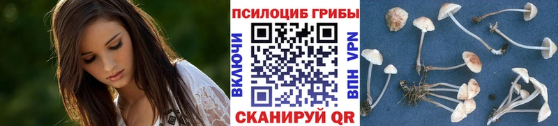Галлюциногенные грибы Psilocybe  Купить  Славгород 